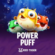 Redtiger : Power Puff - SUMMER138
