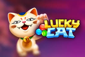 Funky : Lucky Cat - SUMMER138